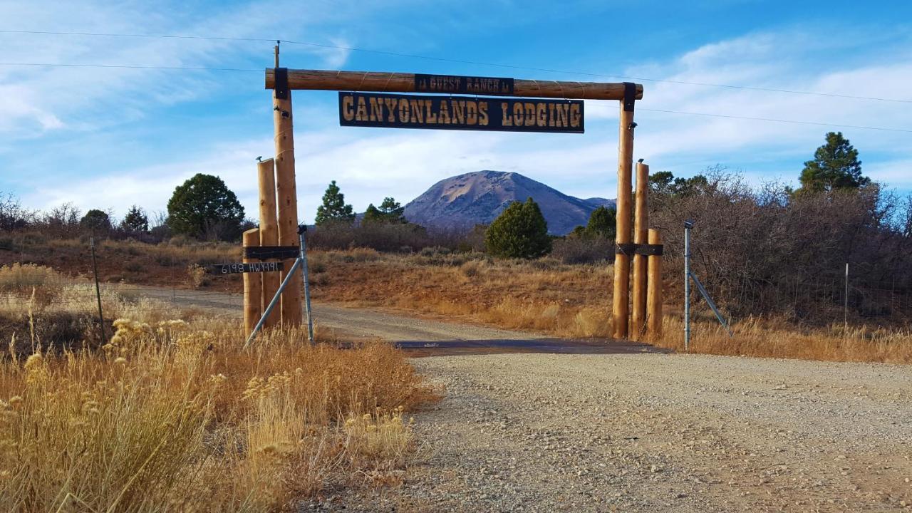 Ranch Mountain Cabin, Stunning! Campfire, Hiking Монтичелло Экстерьер фото