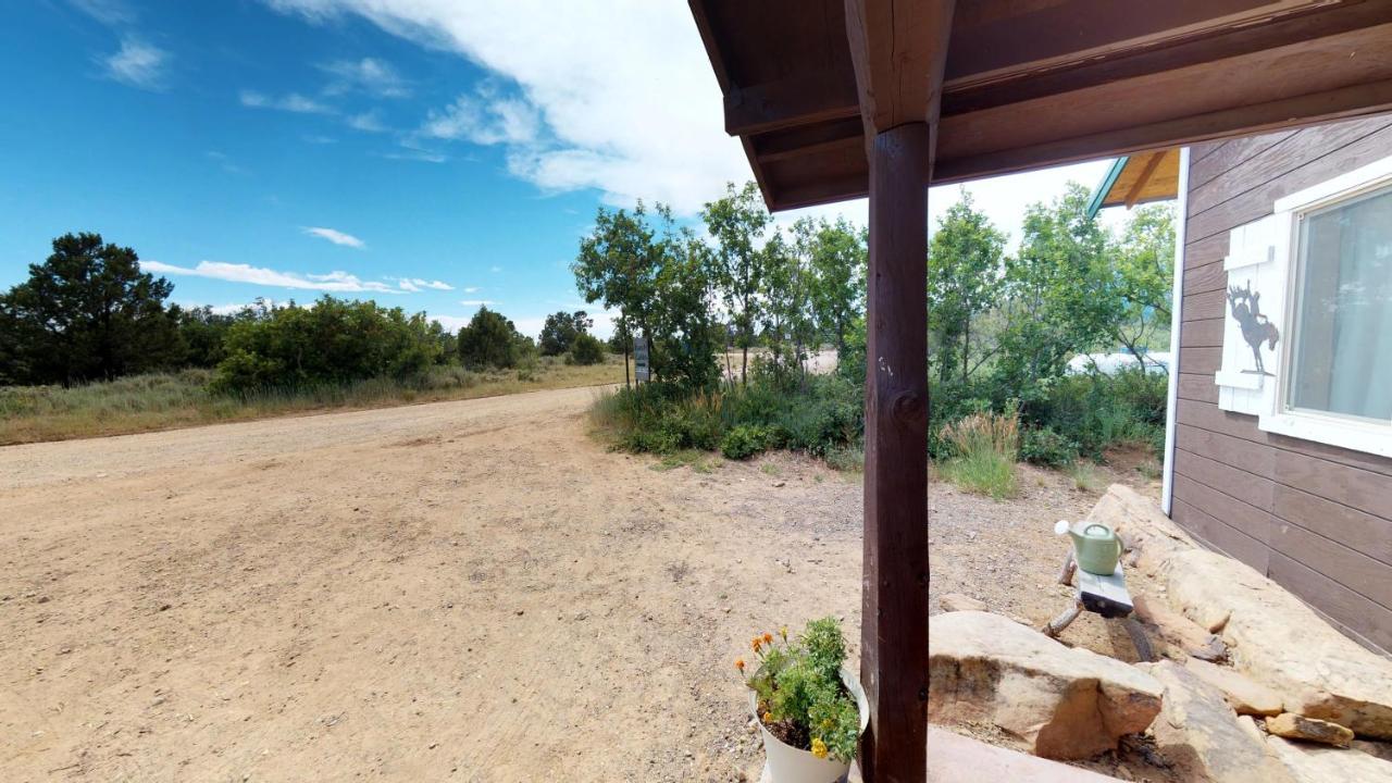 Ranch Mountain Cabin, Stunning! Campfire, Hiking Монтичелло Экстерьер фото